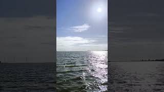 Am IJsselmeer🏖️🛥️⛵ ijsselmeer holland hollanda see vacation holyday holydaysummer music [upl. by Ahsan]