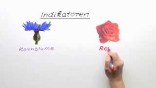 Die Indikatoren  Chemie  Allgemeine und anorganische Chemie [upl. by Colwin]