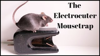 The Electrocuter Mousetrap From 1947 Mousetrap Monday [upl. by Paulette687]