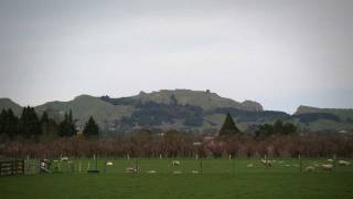 Te Mata Peak Hawkes Bay giant  Roadside Stories [upl. by Atinoj]