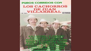 Corrido De Javier Barba [upl. by Webster]