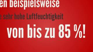 Gewächshausklima – Die optimale Luftfeuchtigkeit [upl. by Ayot664]