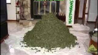 Vybz Kartel  Weed Partneravi [upl. by Quinby65]