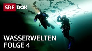 Tauchen in Indonesien auf den Seychellen in Grönland amp der Schweiz  Wasserwelten 44  SRF Dok [upl. by Selene]