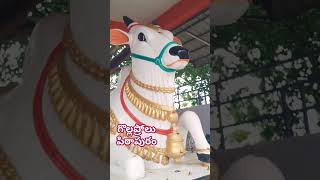 nandi gollaprolu pithapuram andhrapradesh lordshiva chagantikoteshwarrao [upl. by Cooperstein]