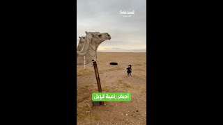 أصغر راعية للإبل [upl. by Aryam]