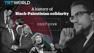 Deep Dive A history of BlackPalestinian solidarity [upl. by Idell]