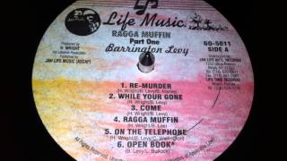 Barrington Levy  While Your Gone [upl. by Ranee763]