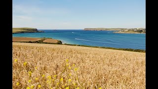 Padstow Circular Walk  Rick Stein [upl. by Soren]