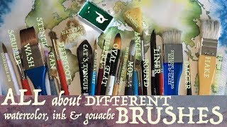 All About Different Watercolor Brushes Rounds Flats Filberts Angles Daggers and More [upl. by Warford490]