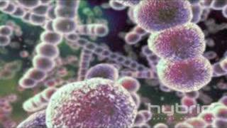 Streptococcus Pneumoniae Hybrid Medical Animation [upl. by Cardinal479]