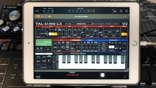 TALUNOLX V2 Synthesizer  Let’s Play  iPad Live [upl. by Belier]