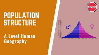 A Level Human Geography  Population Structure [upl. by Mailand]