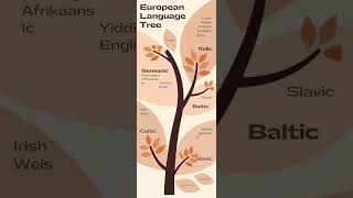 Natural European Language Tree Infographic [upl. by Assirahs]