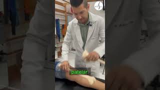 CONDROMALACIA PATELAR  DOR ANTERIOR NO JOELHO shortsvideo [upl. by Ysac]