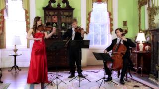 Pachelbel  Canon in D String Trio [upl. by Aruabea591]