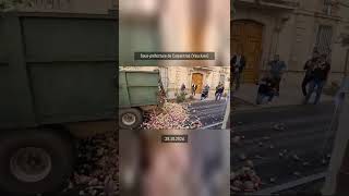 🚜 🇫🇷 Navets infestés devant la souspréfecture de Carpentras JA FDSEA 29102024  MonCarnivore 🥩 [upl. by Brandice810]