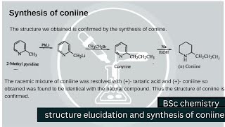 Structure elucidation and synthesis of coniine coniine bscchemistrynotes [upl. by Dlaniger]