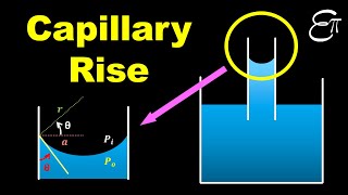 🔴 Capillary Rise  Surface Tension  for Class 11 in HINDI [upl. by Anual]