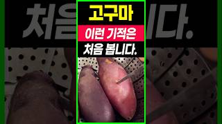 고구마와 이것 함께 먹었더니 의사들도 놀란 변화가 일어났어요고구마와 상극인 음식 항암식품다이어트식품건강음식고구의 효능대파의 효능당뇨음식혈당혈관청소음식노년기 건강 [upl. by Waiter321]