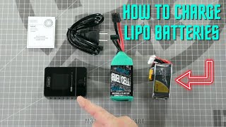 How to Charge LIPO Batteries with a ToolkitRC M4AC Smart Battery Charger [upl. by Junieta]