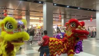 Performance barongsai chinlik di palembang indah mall [upl. by Atiuqehs]