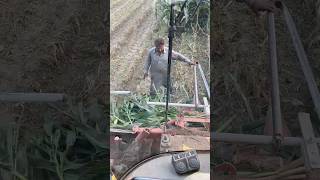 Seated view of silage hard waste youtubeshorts farming trendingshorts shorts viralshorts [upl. by Buehrer777]