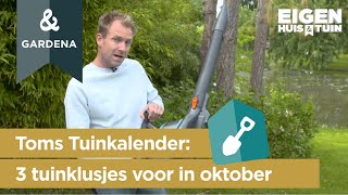 Oktober 3 klusjes die je deze maand in de tuin kunt doen  Toms Tuinkalender  Eigen Huis amp Tuin [upl. by Beller]