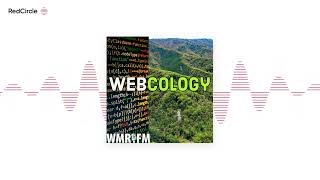 Webcology Extra The Fork in the Road at WordPress Edition [upl. by Elleneg472]