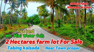 V187 Farm lot for sale 2 hectares Tabing kalsada near town property 150 per sqm [upl. by Dlanigger87]