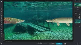 Arapaima vs Alligator Gar [upl. by Ydnyc962]