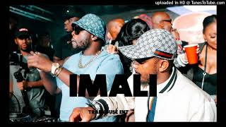 Kabza De SmallDj MaphorisaTylerICU Dj Byza ft LeeMcKrazy  quotImaliquot  Amapiano Type Beat 2024 [upl. by Caputo]