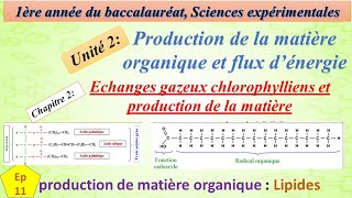 1BSEFU2CH3EP11 production de matière organique ches les plantes chlorophylienneLIPIDES [upl. by Acnayb]