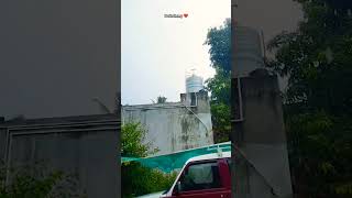 ⛈️Pondy la heavy rain oct7puduvaiponnuvlog trending shorts viralvideo pondicherry [upl. by Aihtenyc740]