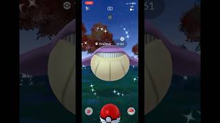 Shiny wailmer finnaly pokemongo [upl. by Neu]