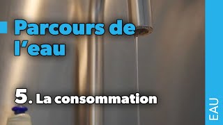 Parcours de leau  5 La consommation [upl. by Evangelist496]