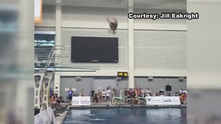 Josh Sollenberger earns national title in diving [upl. by Kcirdek]