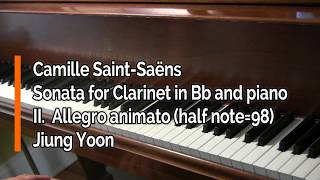 Piano Part  SaintSaëns Clarinet sonata Op167 II Allegro animato half note  98 [upl. by Toomay]