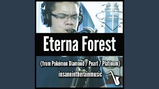 Eterna Forest [upl. by Lyrpa580]