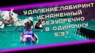 Спидран Удаление ЛабиринтИскаженный за 537  Destiny 2 expunge speedrun warlock Destiny 2 [upl. by Nagrom]