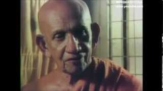 Buddhism in a nutshell  venBalangoda Ananda Maitreya Thero [upl. by Enilarak]