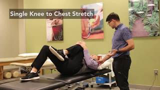 Wellstar OrthoSport How to Stretch for Sciatica Pain Relief [upl. by Wrightson]