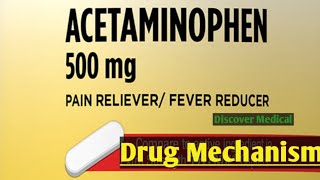 Acetaminophen  Paracetamol  Tylenoldrug mechanism easy to understand [upl. by Lleynad]