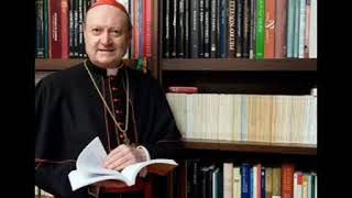 Anteprima  Il cardinale Gianfranco Ravasi racconta i libri della Bibbia [upl. by Novets]