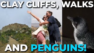 Exploring Omaramas Clay Cliffs Penguin Watching amp More  Starting our New Zealand 2024 Bucket List [upl. by Cresida]