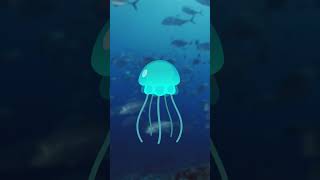 Jellyfish Have Been Living on Earth for More Than 500 Million Years 🪼 [upl. by Longerich]