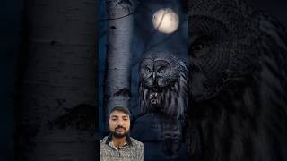 Why owl 🦉wake up at night  An emotional emotional motivation comedy dushyanthukreja shorts [upl. by Brandon957]