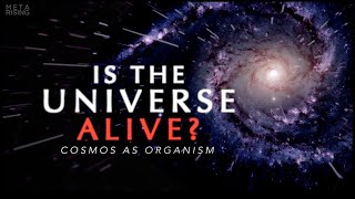 The Living Universe  Documentary about Consciousness and Reality  Waking Cosmos [upl. by Ruford370]