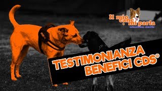 Testimonianza benefici Classe di Socializzazione® [upl. by Anerual]