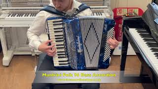 Manfrini Folk 96 Bass Accordion [upl. by Oates]